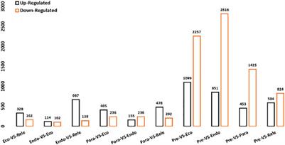 Comprehensive Biochemical, Physiological, and Transcriptomic Analyses Provide Insights Into Floral Bud Dormancy in Rhododendron delavayi Franch